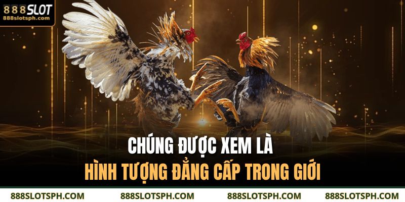 Chúng được xem là hình tượng đẳng cấp trong giới
