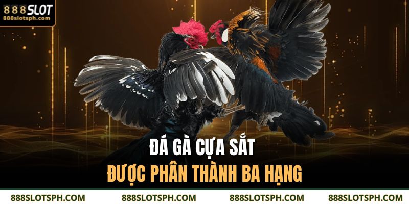 Đá gà cựa sắt được phân thành ba hạng