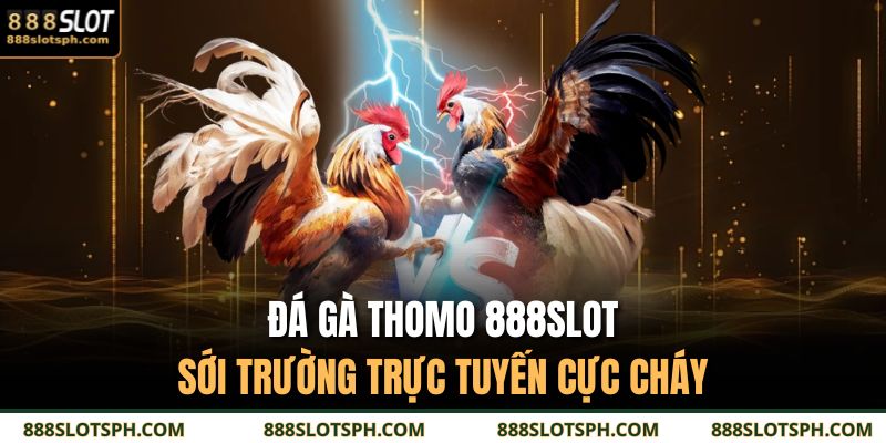 Đá Gà Thomo
