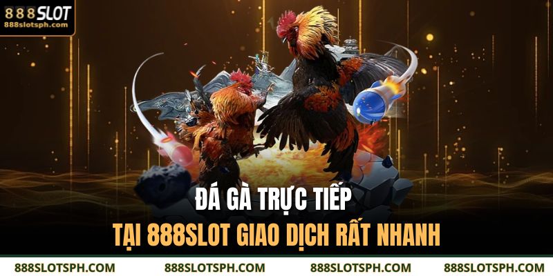 Đá gà trực tiếp tại 888SLOT giao dịch rất nhanh