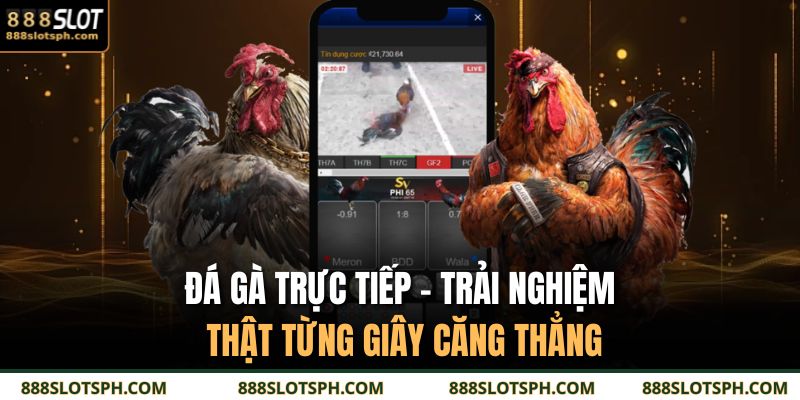 Đá gà trực tiếp