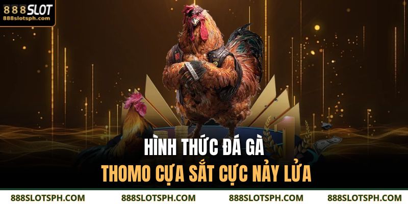 Hình thức đá gà Thomo cựa sắt cực nảy lửa