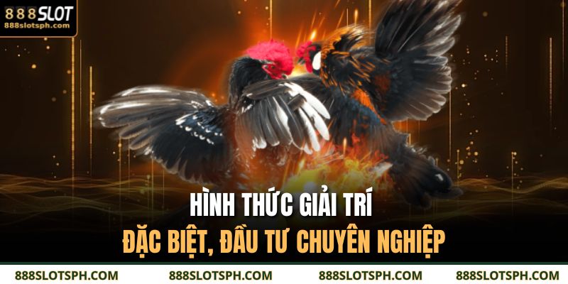 Hình thức giải trí đặc biệt, đầu tư chuyên nghiệp