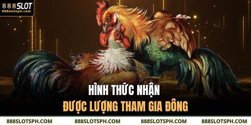 Hình thức nhận được lượng tham gia đông
