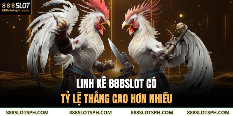 Linh kê 888SLOT có tỷ lệ thắng cao hơn nhiều