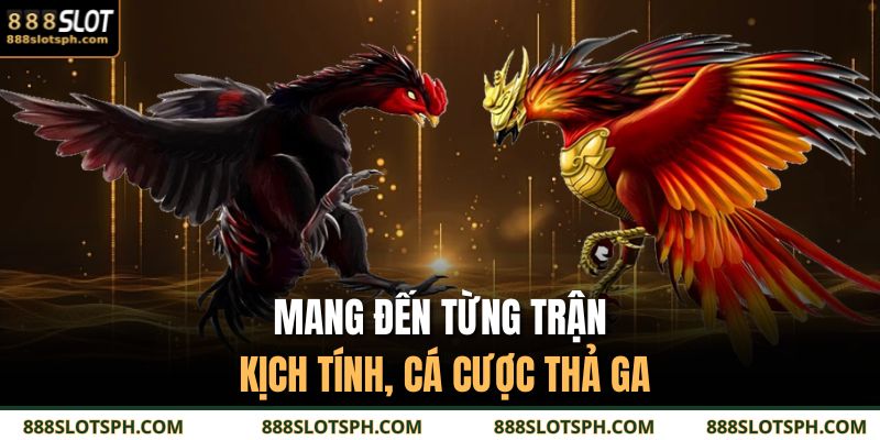 Mang đến từng trận kịch tính, cá cược thả ga