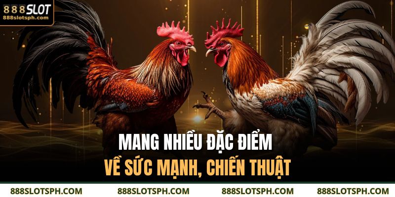 Mang nhiều đặc điểm về sức mạnh, chiến thuật