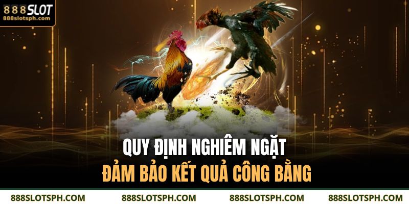 Quy định nghiêm ngặt đảm bảo kết quả công bằng